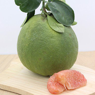 Cây bưởi giống