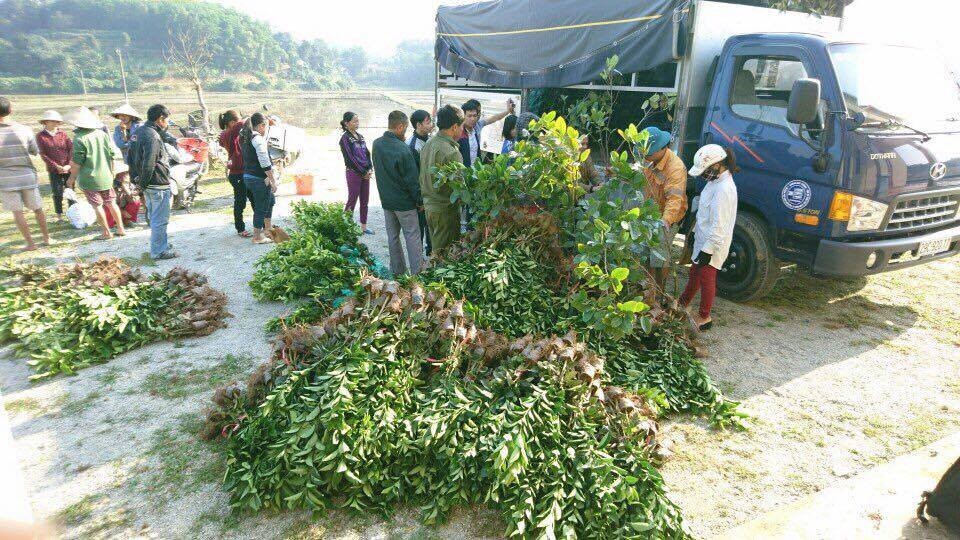 Dự án 135 ở Hương Sơn - Hà Tĩnh
