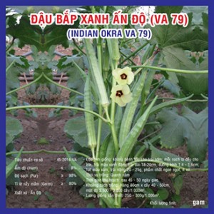 Đậu bắp xanh Ấn Độ	