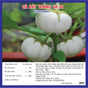 Hạt giống cà bát trắng