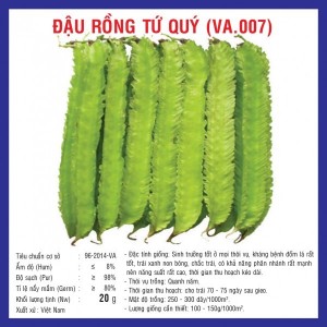 Hạt giống đậu rồng tứ quý