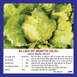 Hạt giống xà lách Mỹ menetto