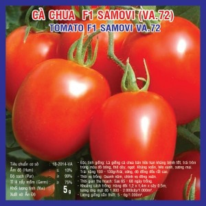 Hạt giống cà chua F1 Samovi