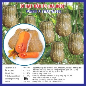 Hạt giống bí hạt đậu F1