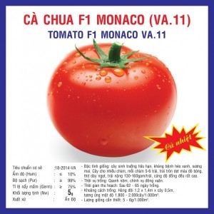 Hạt giống cà chua F1 Monaco