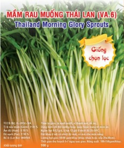Hạt giống mầm rau muống Thái Lan