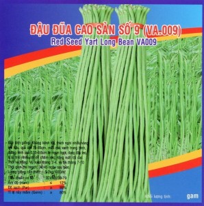 Hạt giống đậu đũa cao sản số 9