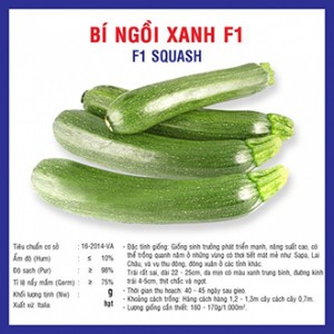 Hạt giống bí ngồi xanh F1